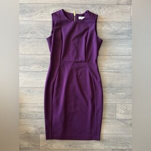 Calvin Klein Plum Purple Sheath Dress - Size 6 - Exposed Gold Zipper